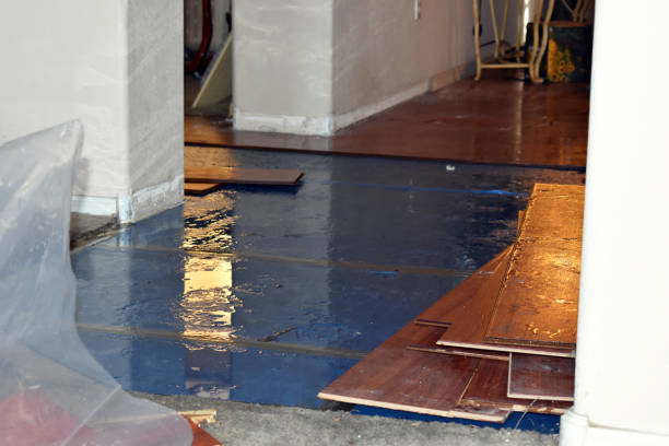 Professional Basement Water Removal technician working in Abita Springs, LA